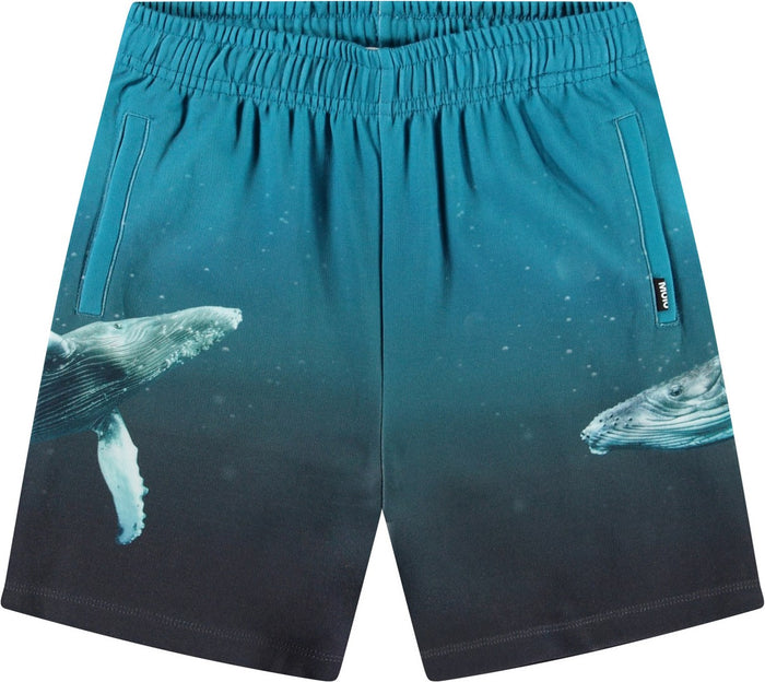 Amil Pants