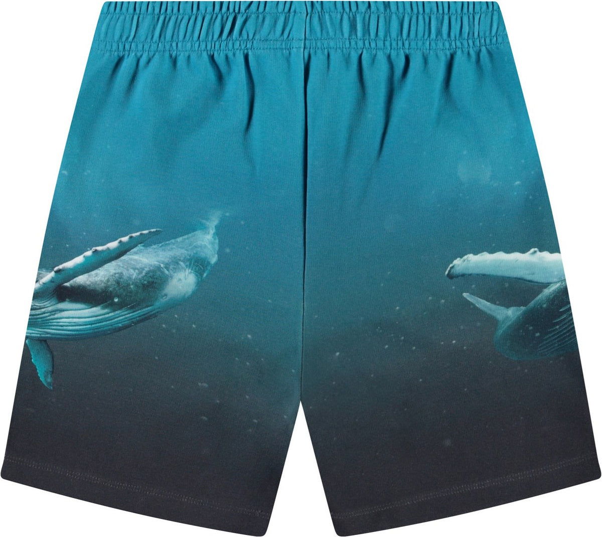 Amil Pants
