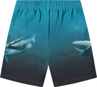 Amil Pants