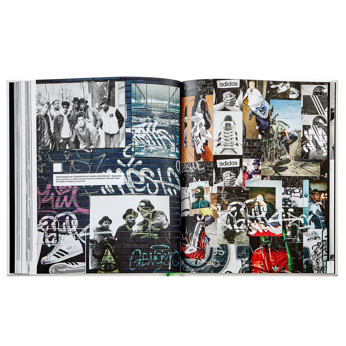 Sneakers The Classics