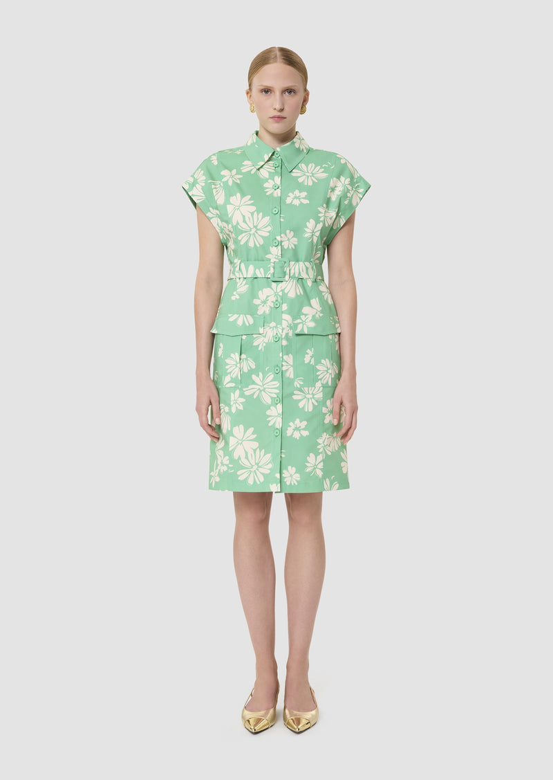 Rajah Floral Print Dress