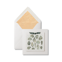 Sea Shells Greeting Card