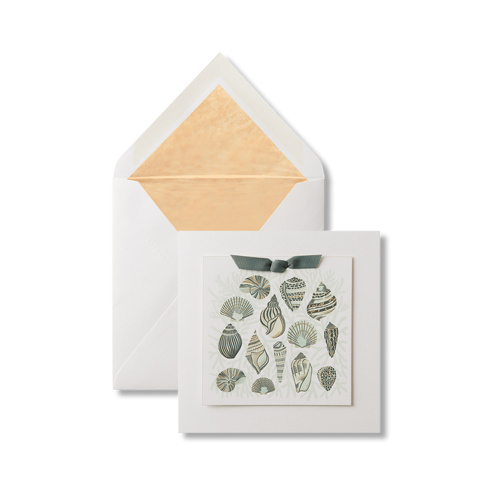 Sea Shells Greeting Card