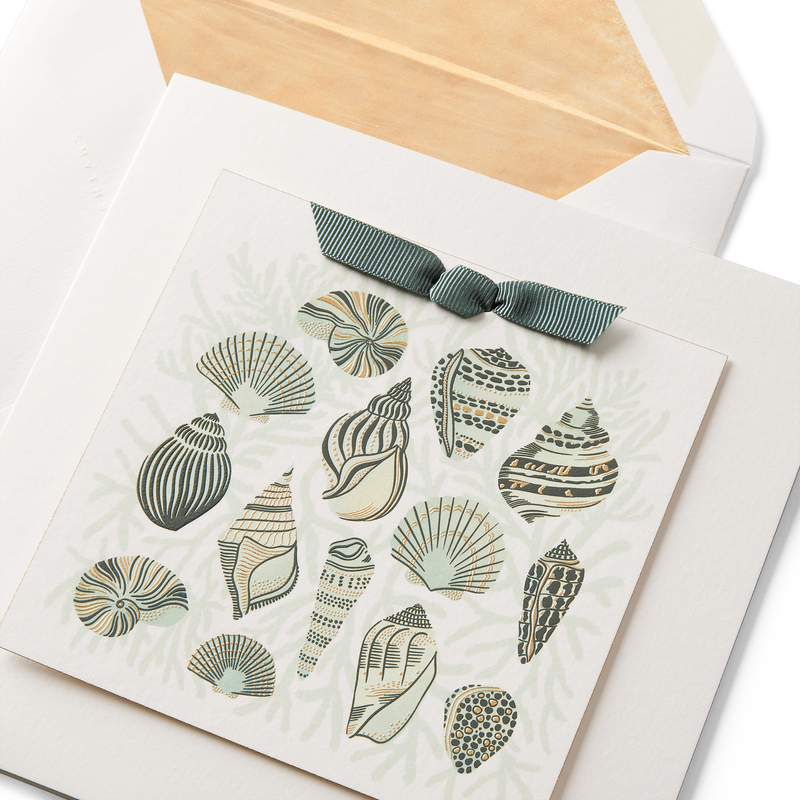 Sea Shells Greeting Card