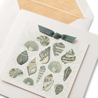 Sea Shells Greeting Card