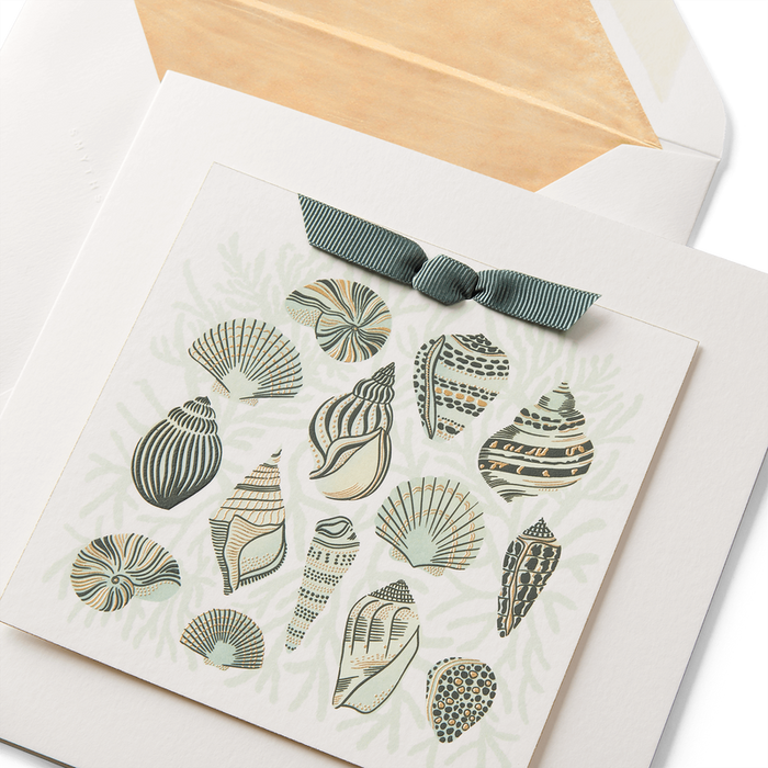 Sea Shells Greeting Card