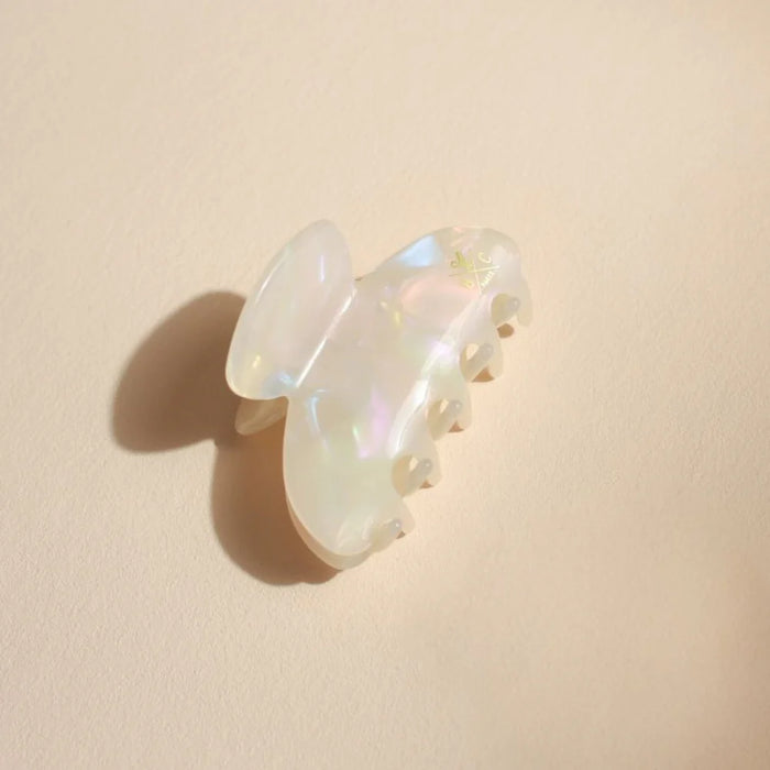 Small Claw Clip