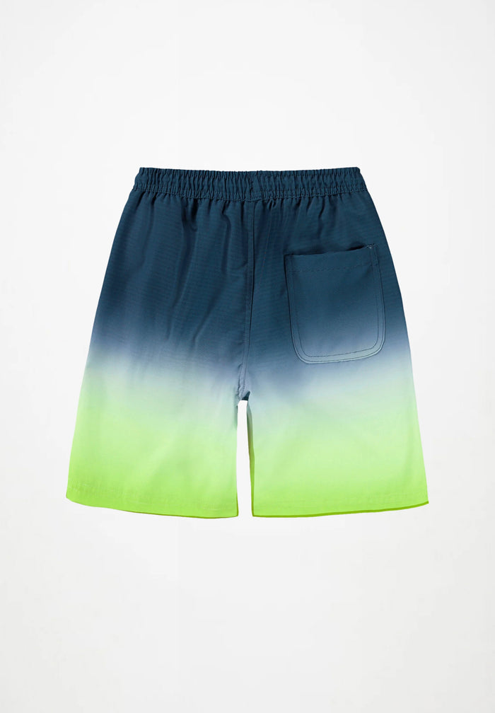 Nilson Swim Shorts