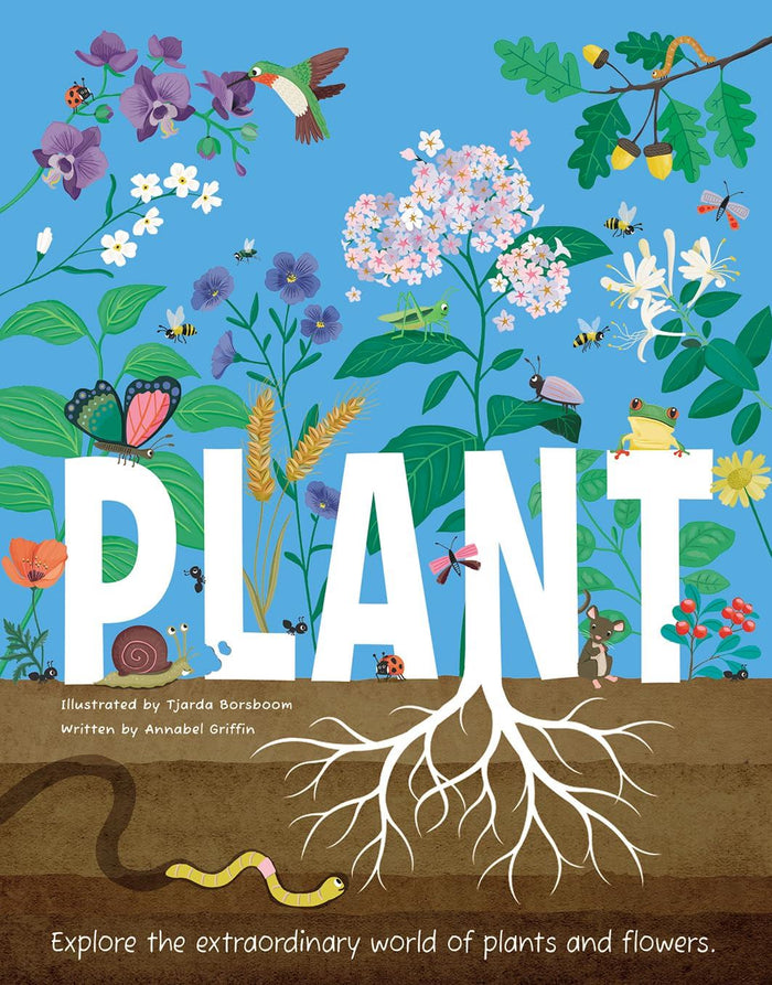 Plant (Beetle Books)