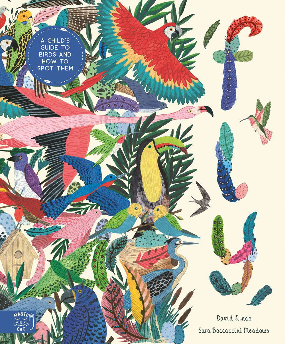 FLY: A Child Guide to Birds