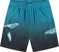 Amil Pants