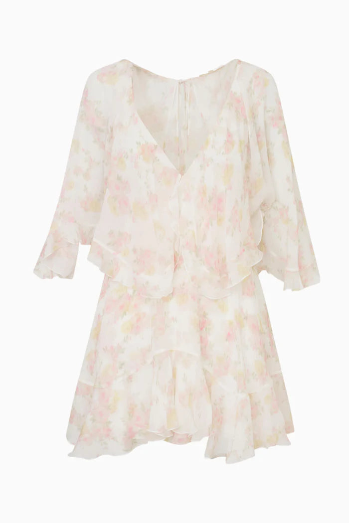 Avaline Floral Chiffon Mini Dress