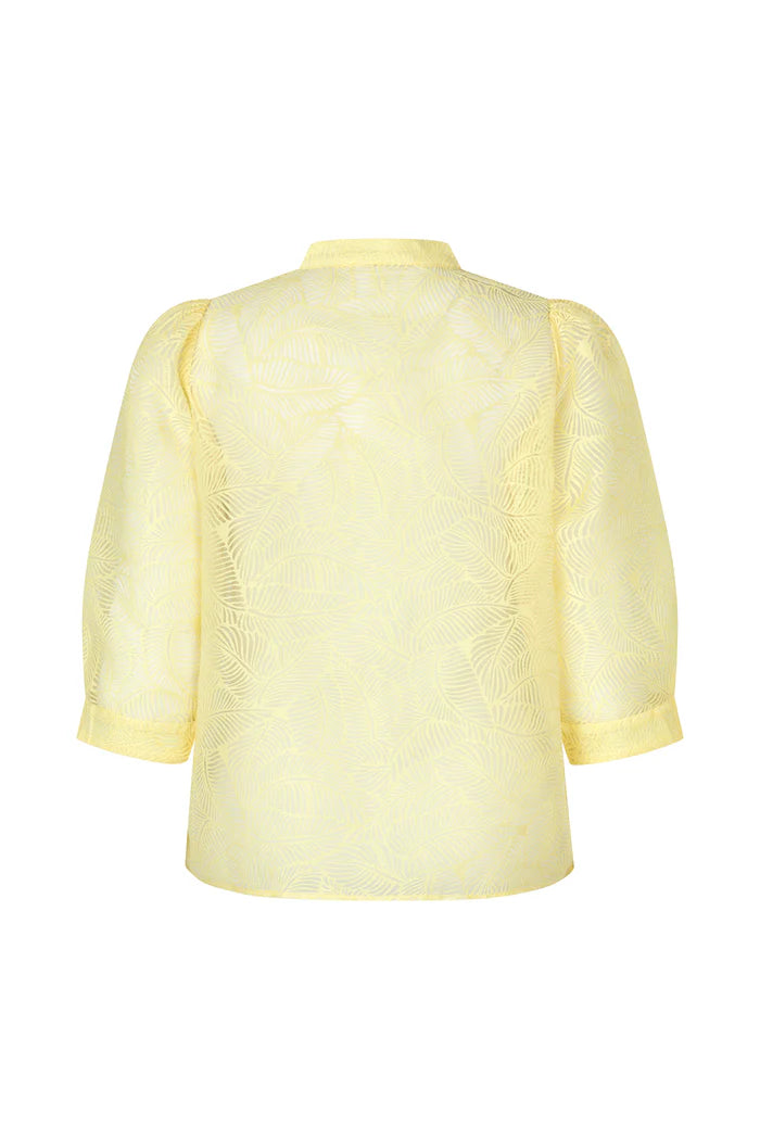 BonoLL Shirt