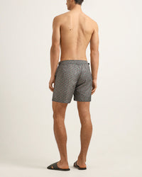 Bulldog Pettola Print