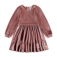 Calanthe Velvet Dress