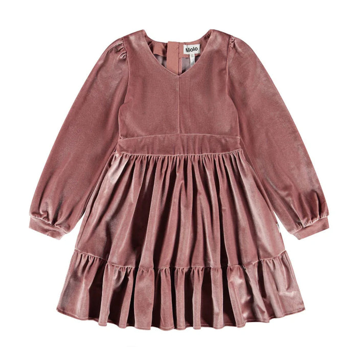 Calanthe Velvet Dress