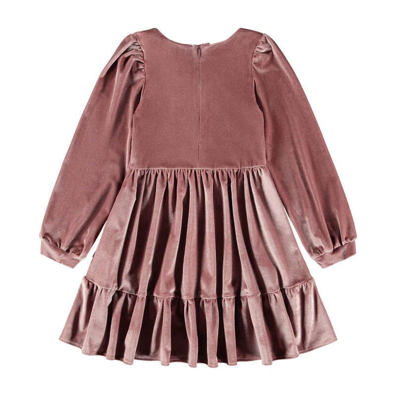 Calanthe Velvet Dress