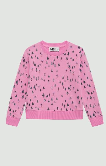 Little Cassia Top Ski Patrol