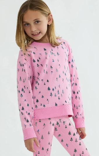 Little Cassia Top Ski Patrol