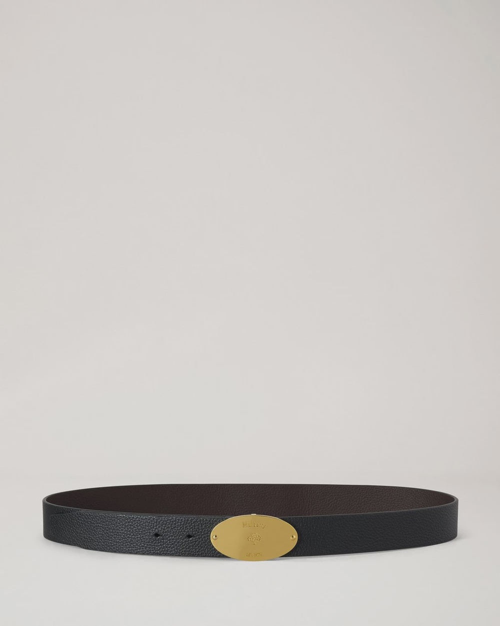 Reversible Plaque Belt