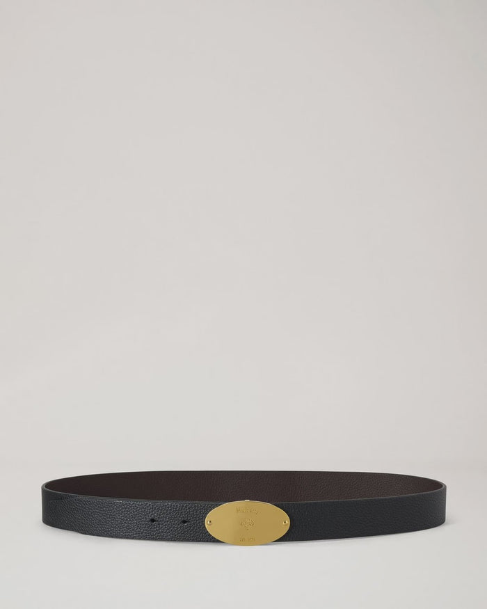 Reversible Plaque Belt