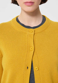 Guido Wool Vest
