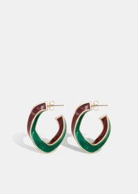 Hicolor Earrings