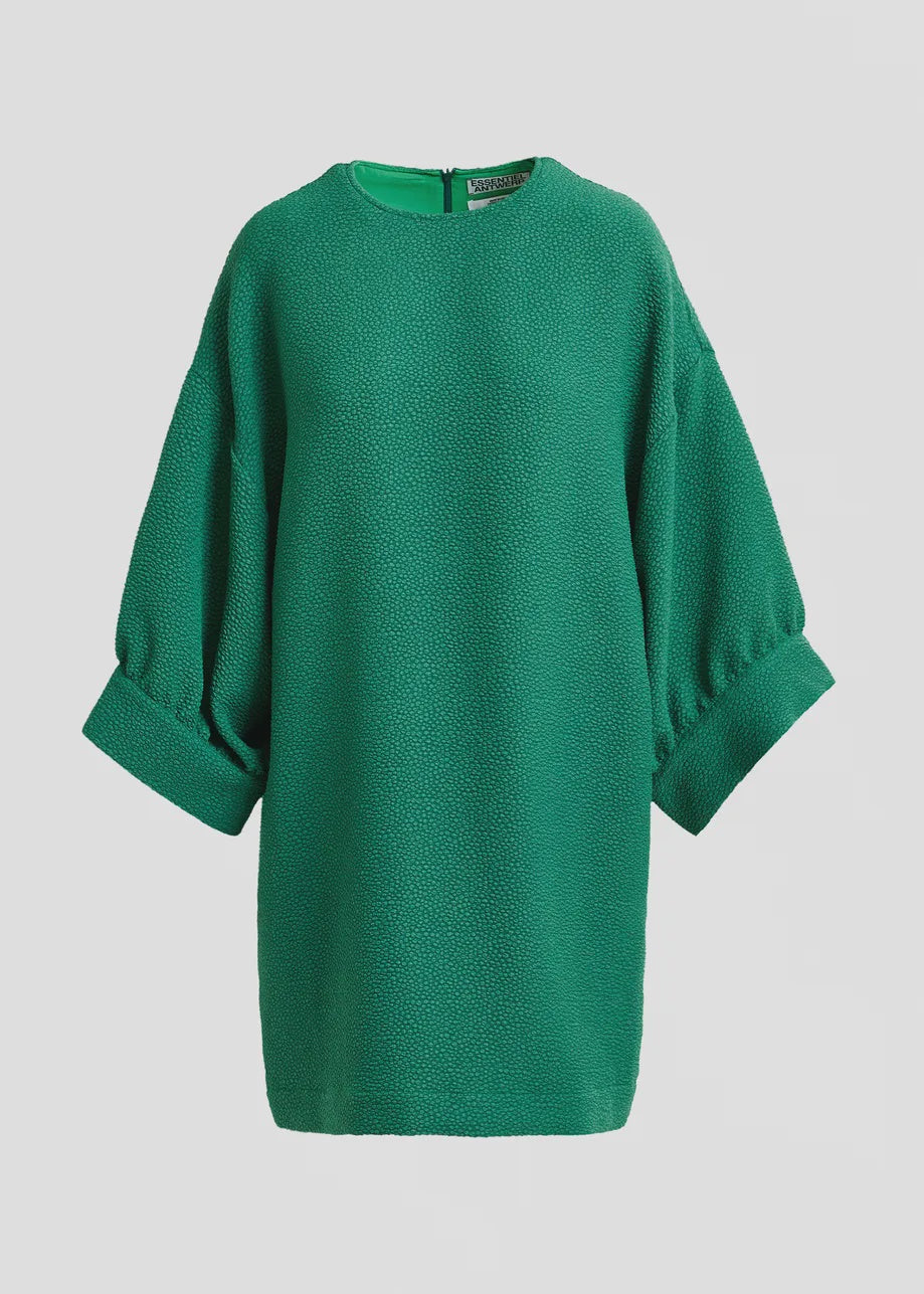 Mini Dress with Wide Sleeves