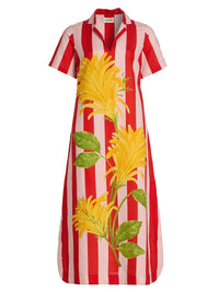 Jacobina and Stripes Shirt Dress