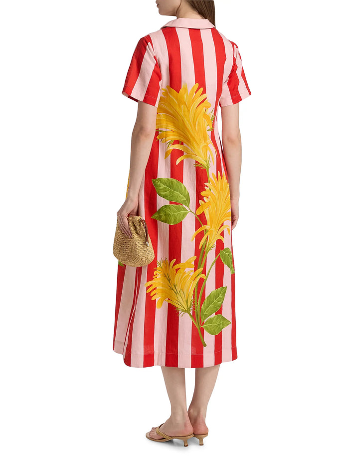 Jacobina and Stripes Shirt Dress