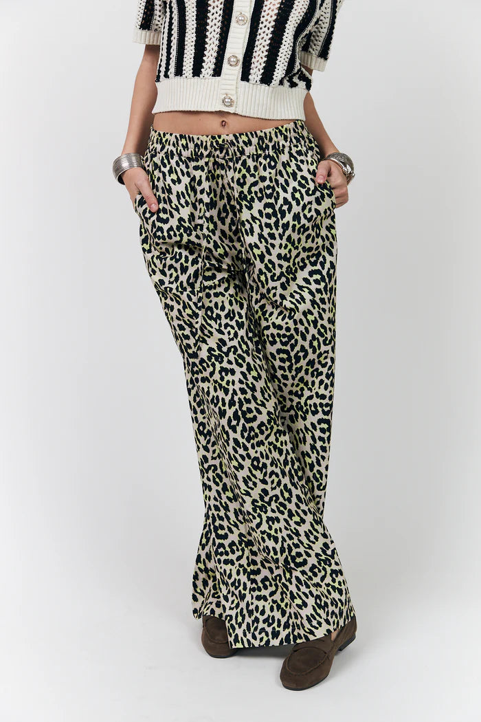 LiamLL Pant