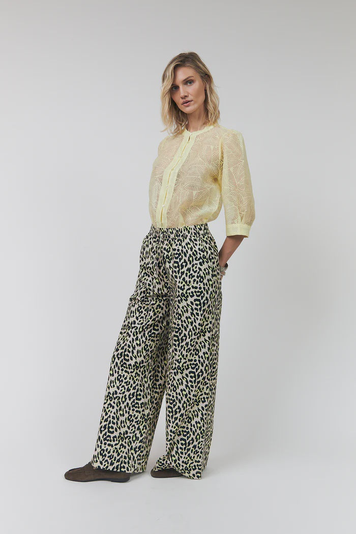 LiamLL Pant