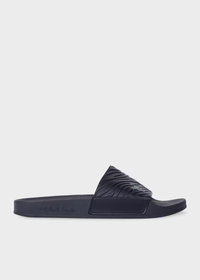 Zebra 'Zed' Slides