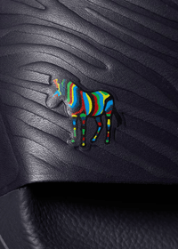 Zebra 'Zed' Slides