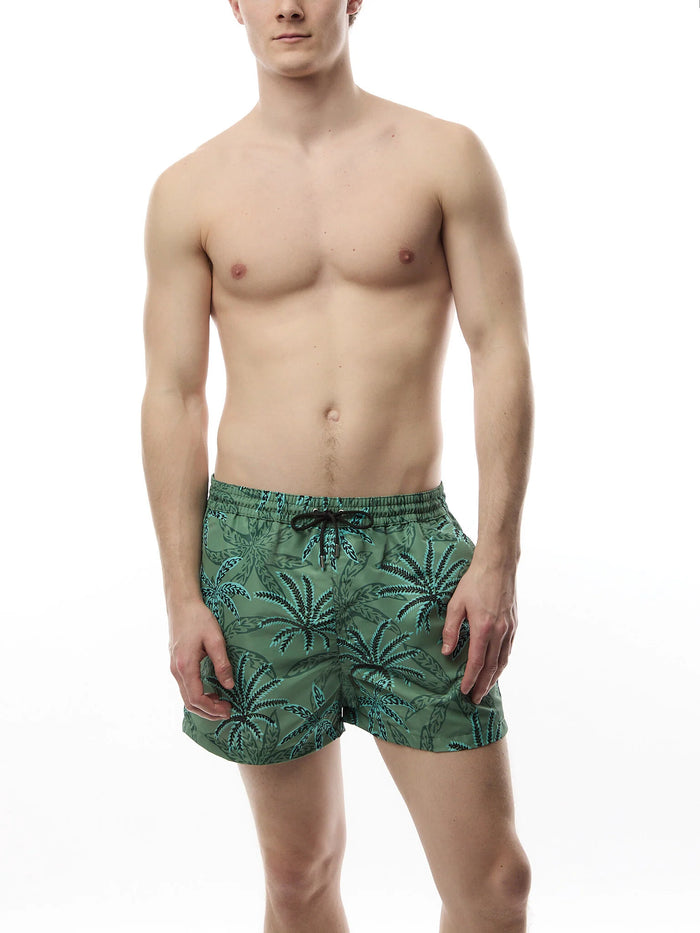 Palms Swim Shorts