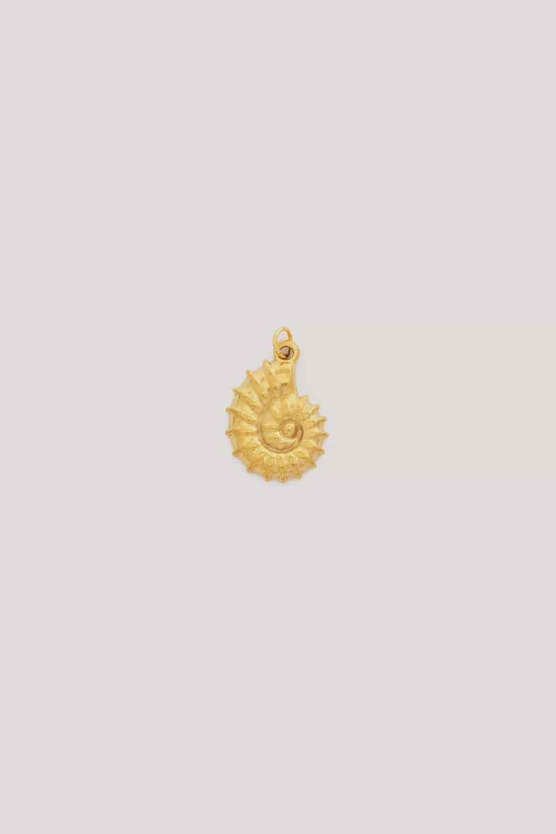 Shell Charm