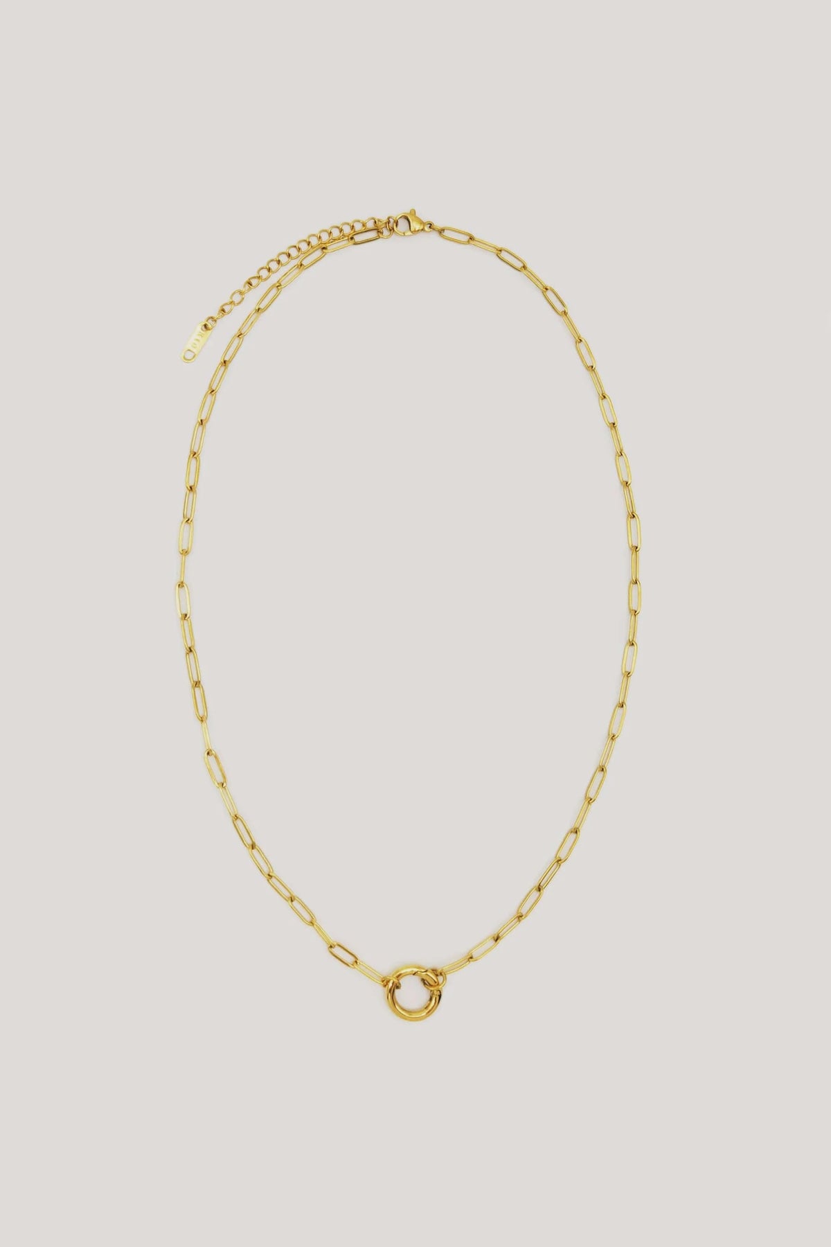 Paperclip Carabiner Necklace Chain