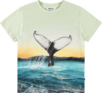 Rame T Shirt