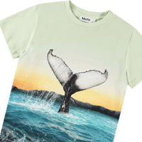 Rame T Shirt