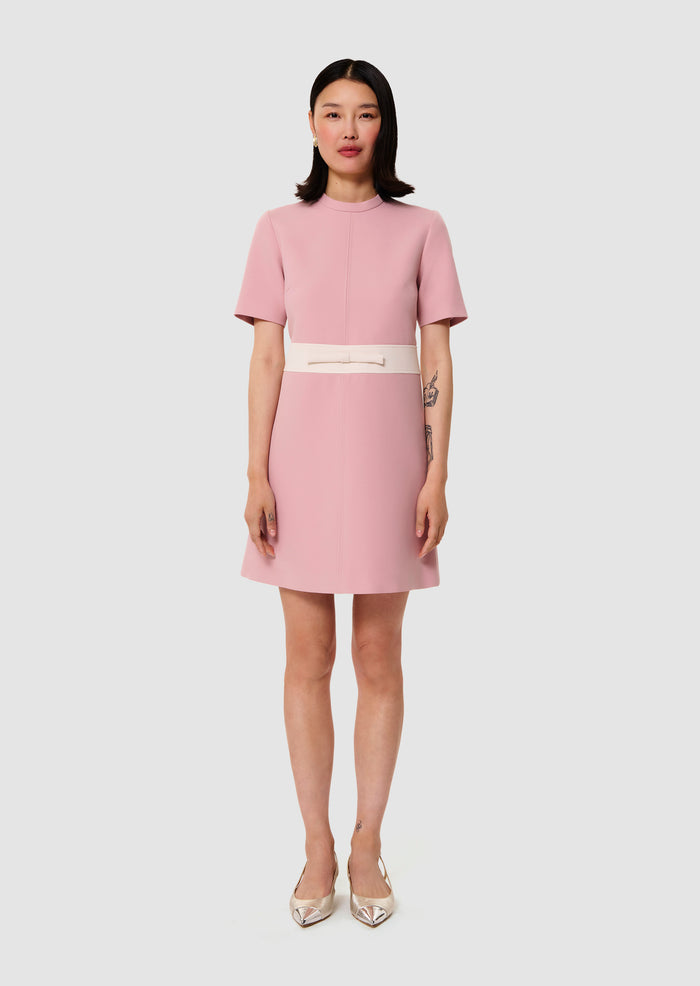 Royce Canvas Dress