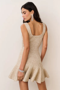 Sarajane Knit Mini Dress