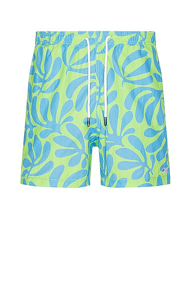 The Classic Men's Swim Short