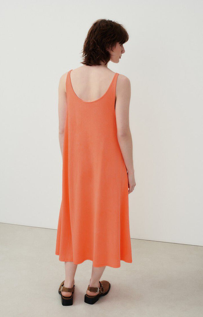 The Lopintale Maxi Dress