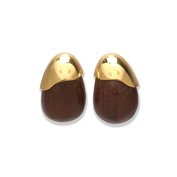 Toro Earrings