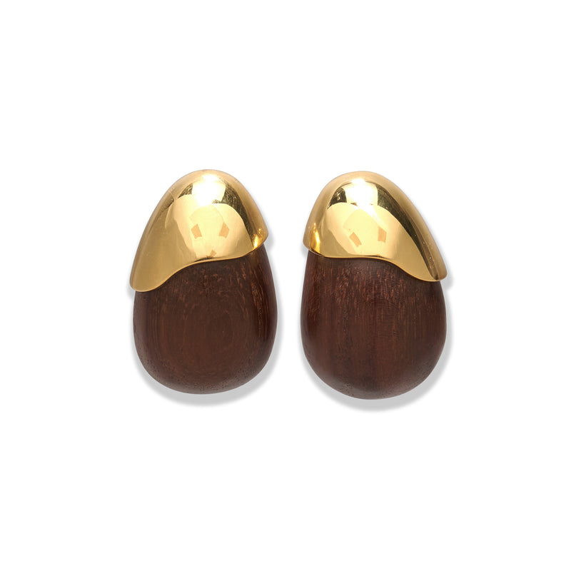 Toro Earrings