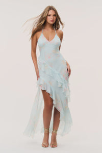 Vailo Floral Silk Dress