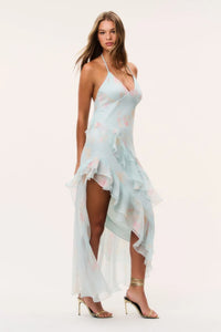 Vailo Floral Silk Dress