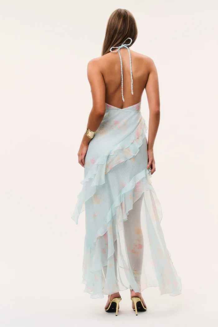 Vailo Floral Silk Dress