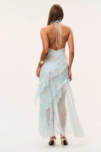 Vailo Floral Silk Dress