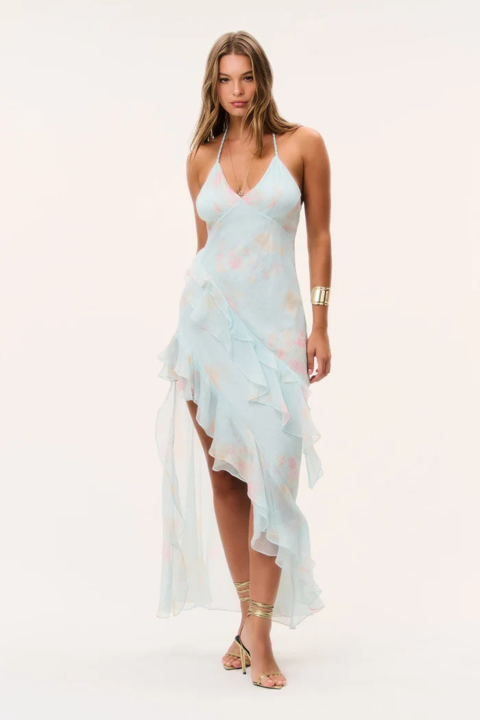 Vailo Floral Silk Dress